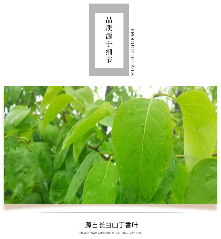 袋泡茶贴牌oem代加工